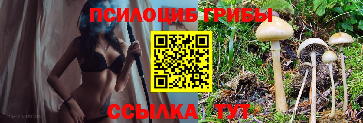 Коммунар  Псилоцибиновые грибы Cubensis  Вход с VPN  Галлюциногенные грибы ЛСД 